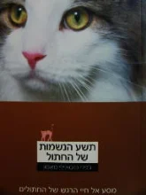 עטיפת הספר תשע הנשמות של החתול