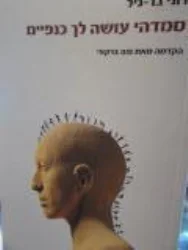 עטיפת הספר סמדהי עושה לך כנפיים