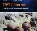 עטיפת הספר החי מתחת לאבן