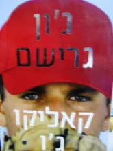 עטיפת הספר קאליקו גו