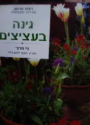 עטיפת הספר גינה בעציצים