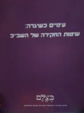 עטיפת הספר עינויים כשיגרה שיטות החקירה של השבכ