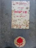 עטיפת הספר פגישות