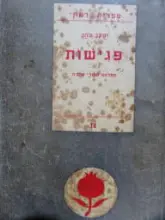 עטיפת הספר פגישות