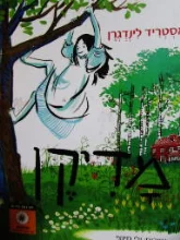 עטיפת הספר מדיקן