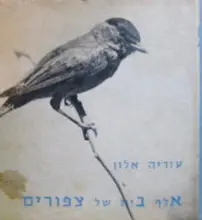 עטיפת הספר אלף בית של צפורים