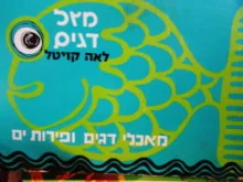 עטיפת הספר מזל דגים