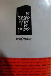 עטיפת הספר א שפיגל אויף א שטיין אנטאלאגיע