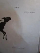 עטיפת הספר אסד עזי מסע אל תולדות
