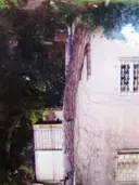 עטיפת הספר איה בן רון מרגלית