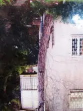 עטיפת הספר איה בן רון מרגלית
