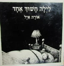 עטיפת הספר לילה חשוך אחד