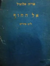 עטיפת הספר אל החוף לב ציורים