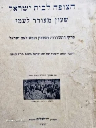 עטיפת הספר הצופה לבית ישראל שעון מעורר לעמי