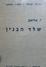 עטיפת הספר שלד הבנין