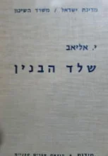 עטיפת הספר שלד הבנין