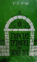 עטיפת הספר מראות בירושלים של דוד שחר