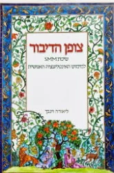 עטיפת הספר צופן הדיבור שיטת smm למימוש האינטליגנציה האנושית