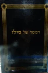עטיפת הספר המסר של סילו