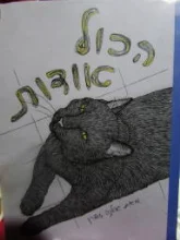 עטיפת הספר הכל אודות רפי