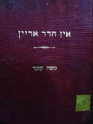 עטיפת הספר אין חדר אריין