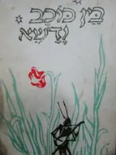 עטיפת הספר בין כוכב ודשא