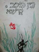עטיפת הספר בין כוכב ודשא