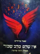 עטיפת הספר אין שלם מלב שבור אמרות הרבי מקוצק