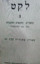 עטיפת הספר לקט ב