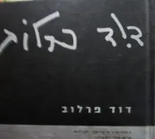 עטיפת הספר דוד פרלוב צילומי צבע 2000-2003
