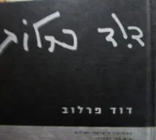 עטיפת הספר דוד פרלוב צילומי צבע 2000-2003