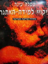 עטיפת הספר ליקויי למידה האתגר
