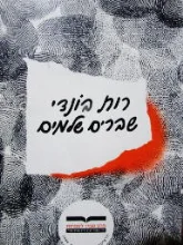 עטיפת הספר שברים שלמים