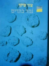 עטיפת הספר נמר בהרים