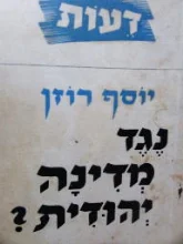 עטיפת הספר נגד מדינה יהודית