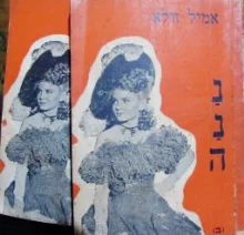 עטיפת הספר ננה 2 כרכים