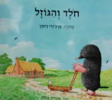 עטיפת הספר חלד והגוזל