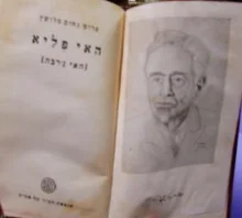 עטיפת הספר האי פליא האי גרבה