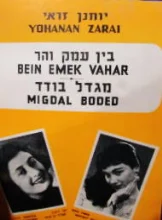 עטיפת הספר בין עמק והר / מגדל בודד