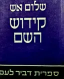 עטיפת הספר קדוש השם