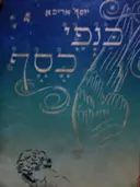 עטיפת הספר כנפי כסף