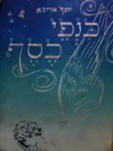 עטיפת הספר כנפי כסף
