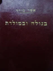 עטיפת הספר בגולה ובמולדת