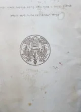 עטיפת הספר אוצר המגילות הגנוזות סקירה ראשונה