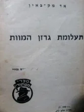 עטיפת הספר תעלומת גרזן הרצח