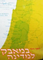 עטיפת הספר במאבק למדינה המדיניות הציונית בשנים 1936-1948