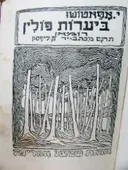 עטיפת הספר ביערות פולין