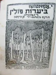 עטיפת הספר ביערות פולין