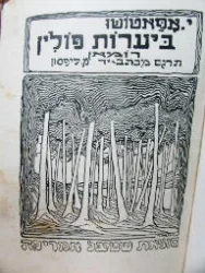 עטיפת הספר ביערות פולין