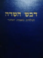 עטיפת הספר ספר דבש השדה